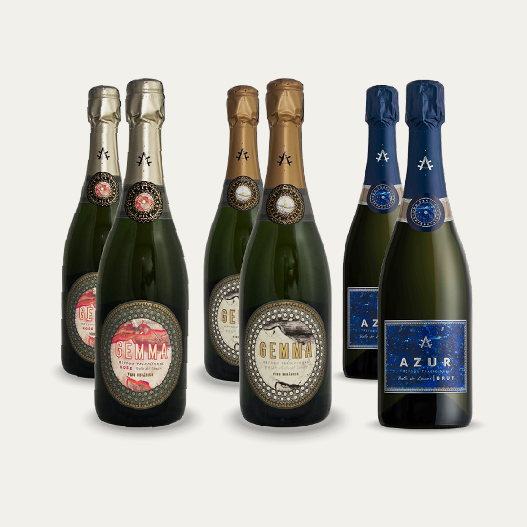 0050_Kit-Experto-en-Burbujas.png Selección Espumantes Orgánicos